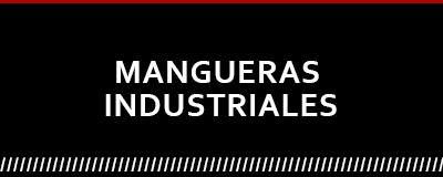 Cambiar imagen