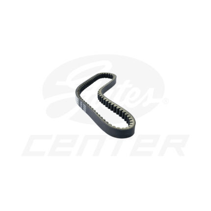 CORREA SCOOTER PL 20302